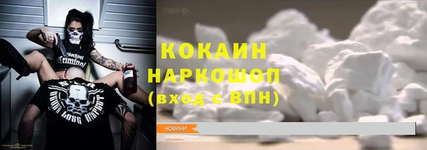 стаф Алексин