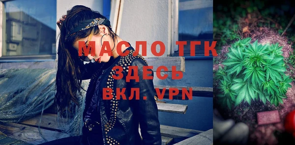 стаф Алексин