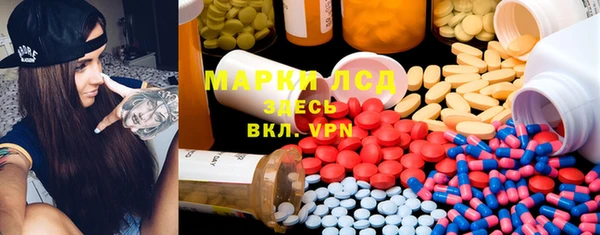 прущие грибы Алзамай